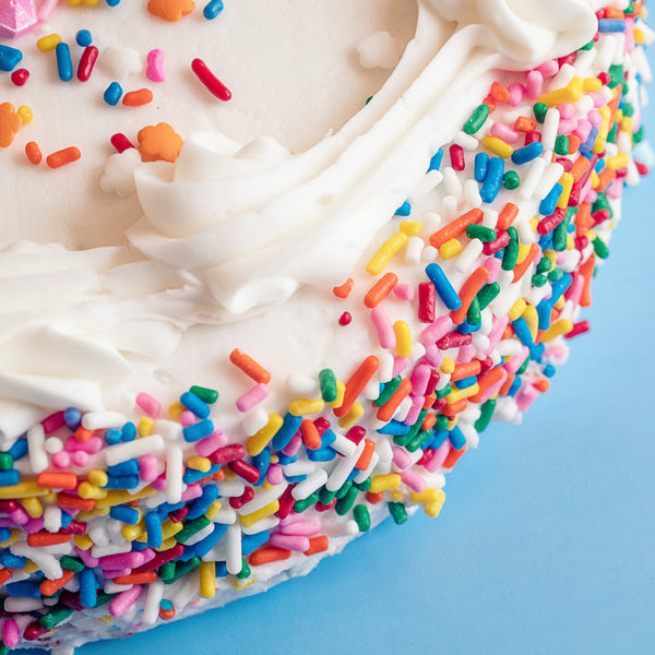 Rainbow Sprinkles Jimmies