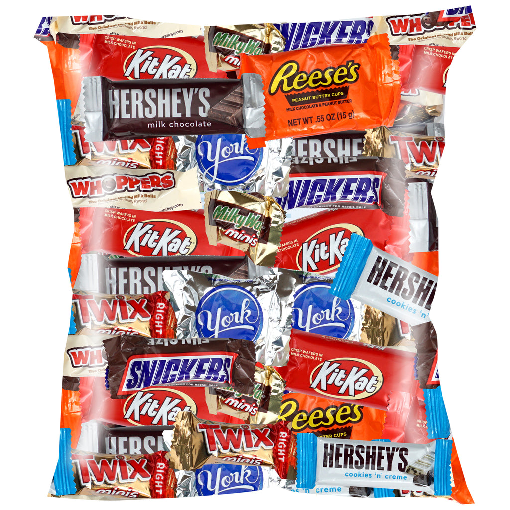 Chocolate Candy Fun Size Variety Pack Bulk Bag