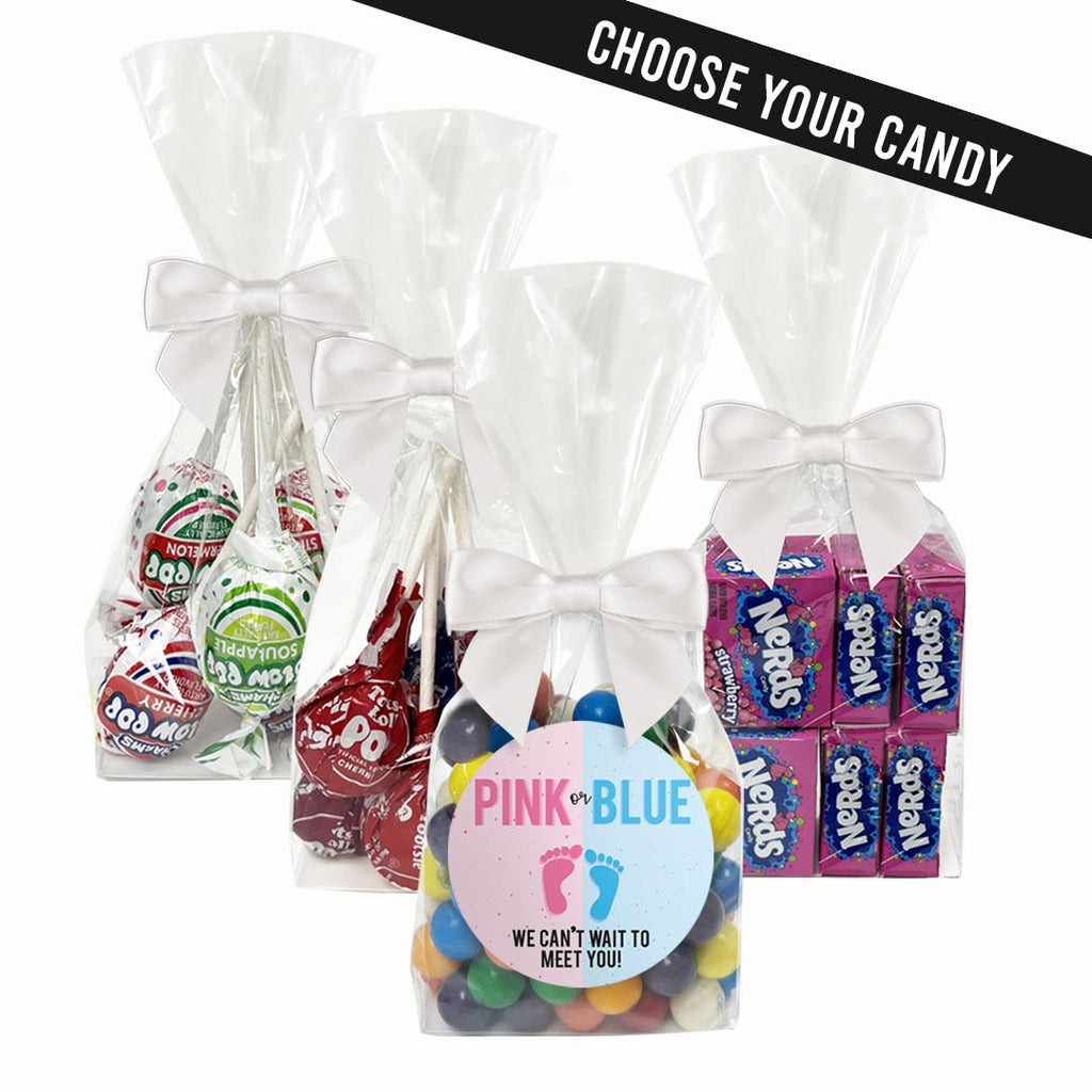 "Pink Or Blue, We Can't Wait To Meet You!" - Gender Reveal Baby Shower Personalized Candy Favors - 12 Pack